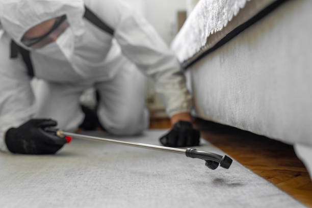 Professional Termite Control technician working in Starke, FL