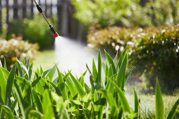 24/7 Emergency Termite Control experts in Starke, FL