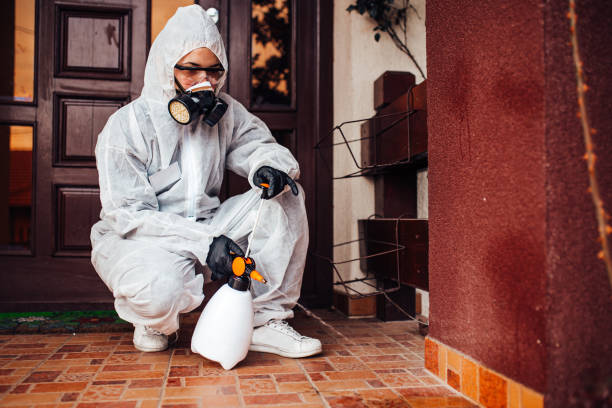 Reliable Termite Control contractor in Starke, FL by Nex Pest Control