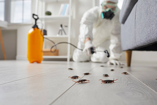 Affordable Termite Control solutions in Starke, FL